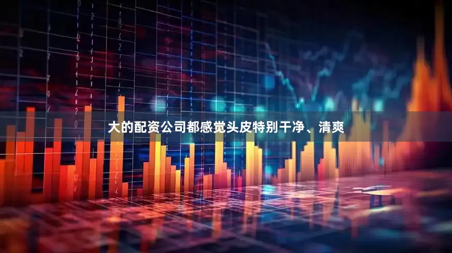 大的配资公司都感觉头皮特别干净、清爽