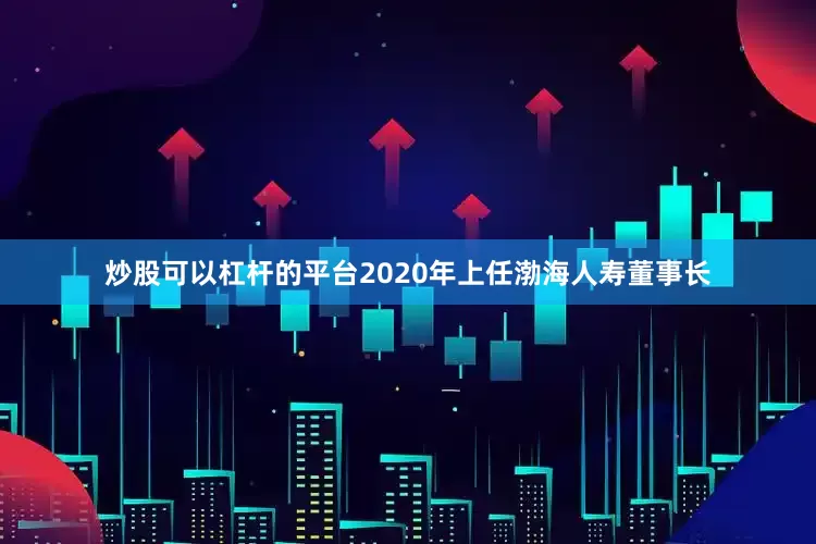 炒股可以杠杆的平台2020年上任渤海人寿董事长