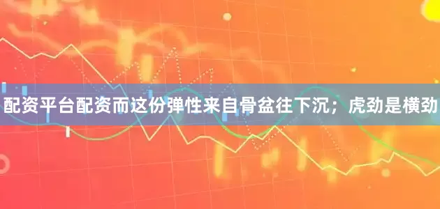 配资平台配资而这份弹性来自骨盆往下沉；虎劲是横劲